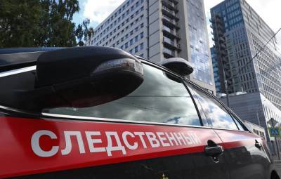 Игорь Трунов - СК обвинил врачей-репродуктологов в 11 эпизодах продажи младенцев - tass.ru - Москва