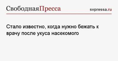 Стало известно, когда нужно бежать к врачу после укуса насекомого - svpressa.ru