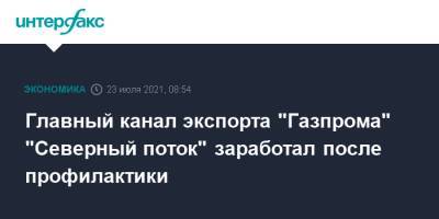 Главный канал экспорта "Газпрома" "Северный поток" заработал после профилактики - interfax.ru - Москва - Украина - Балтика