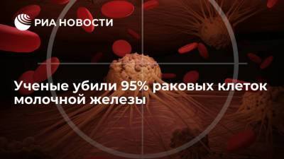 Американским ученым удалось убить 95-100% клеток опухоли груди - ria.ru - Москва - США