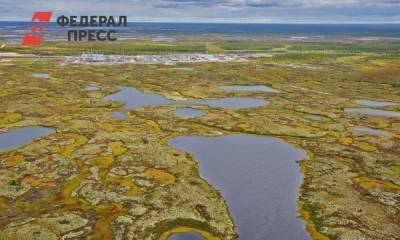 До конца года два месторождения на Ямале выставят на торги - fedpress.ru - Россия - Салехард