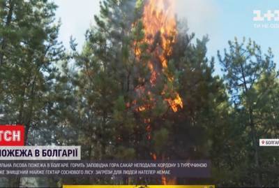 В Болгарии горит заповедная гора Сакар - kp.ua - Украина - Турция - Болгария - Бангладеш