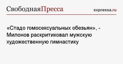 Виталий Милонов - «Стадо гомосексуальных обезьян», — Милонов раскритиковал мужскую художественную гимнастику - svpressa.ru - Россия