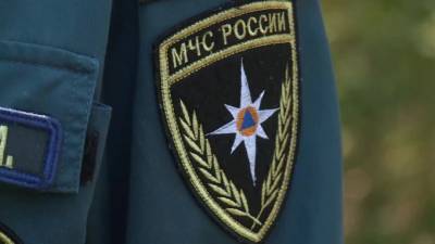 В Приморском поселении провели противопожарный профилактический рейд - piter.tv - Ленинградская обл. - Приморье край