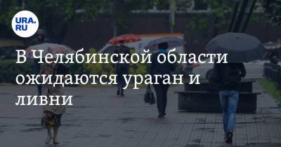 В Челябинской области ожидаются ураган и ливни - ura.news - Челябинская обл.