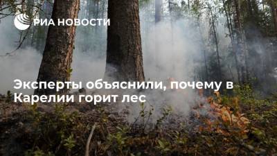 Эксперты объяснили, почему лес в Карелии горит, а в Финляндии — нет - ria.ru - Москва - Россия - Финляндия - республика Карелия