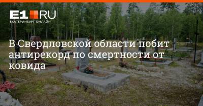 Артем Устюжанин - В Свердловской области побит антирекорд по смертности от ковида - e1.ru - Россия - Екатеринбург - Свердловская обл.