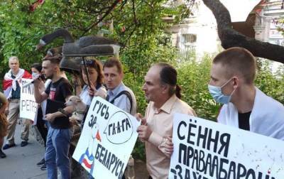 Александр Лукашенко - У посольства Беларуси идет акция Гусь за Беларусь - korrespondent.net - Украина - Киев - Белоруссия - Литва - Гаага - Посольство