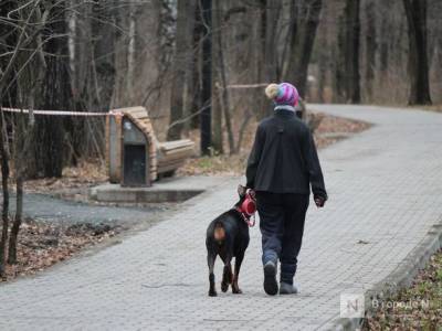 Запрет на выгул животных ввели на Нижне-Волжской набережной - vgoroden.ru - Нижегородская обл. - Нижний Новгород - Нижний Новгород