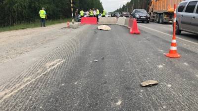 Вышел на дорогу за помощью и попал под грузовик. Смертельное ДТП на трассе Тюмень – Омск - newdaynews.ru - Тюмень - Омск