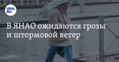 В ЯНАО ожидаются грозы и штормовой ветер - ura.news - окр. Янао