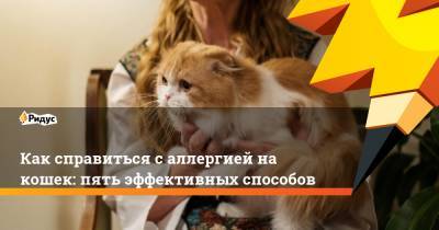 Как справиться с аллергией на кошек: пять эффективных способов - ridus.ru