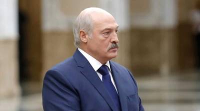 Александр Лукашенко - “Гусь за Беларусь”: украинские активисты потребовали осудить Лукашенко - newzfeed.ru - Украина - Белоруссия - Гаага