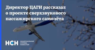 Владимир Путин - Директор ЦАГИ рассказал о проекте сверхзвукового пассажирского самолёта - nsn.fm - Россия - США - Австралия