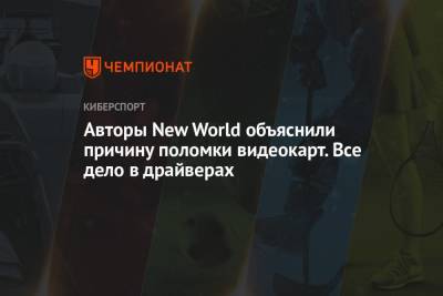Авторы New World объяснили причину поломки видеокарт. Все дело в драйверах - championat.com