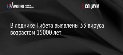 В леднике Тибета выявлены 33 вируса возрастом 15000 лет - ivbg.ru - Россия - Китай - Украина - шт. Огайо - Индия