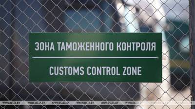 Тайник с 2 тыс. табачных стиков обнаружили в грузовом тягаче брестские таможенники - belta.by - Украина - Белоруссия