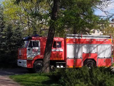 Клубы черного дыма: в ангаре в Пушкинском районе вспыхнул сильный пожар (видео) - rosbalt.ru - Санкт-Петербург - район Пушкинский, Санкт-Петербург