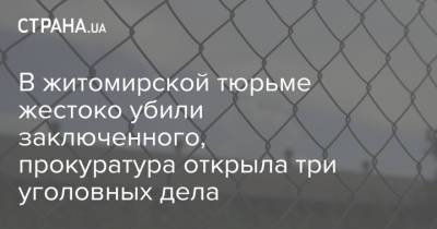 В житомирской тюрьме жестоко убили заключенного, прокуратура открыла три уголовных дела - strana.ua - Украина - Житомир