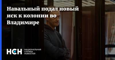Алексей Навальный - Навальный подал новый иск к колонии во Владимире - nsn.fm