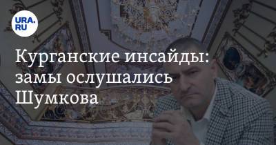 Курганские инсайды: замы ослушались Шумкова - ura.news - Курганская обл.