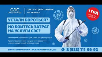 Как избавиться от насекомых навсегда - smi24.news
