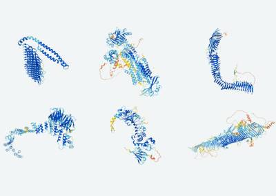 DeepMind с помощью ИИ создаёт масштабную карту белков человека - itc.ua - Украина