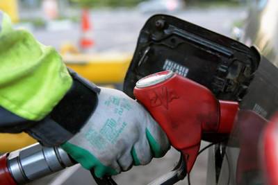 Павел Баженов - Цену на бензин в России назвали несправедливо низкой - lenta.ru - Москва - Россия
