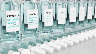 Сотрудники больницы под Брянском уничтожали вакцину от COVID-19 - news.vse42.ru - Брянск - Брянская обл.