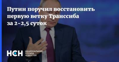 Владимир Путин - Путин поручил восстановить первую ветку Транссиба за 2-2,5 суток - nsn.fm - Россия - Забайкалье