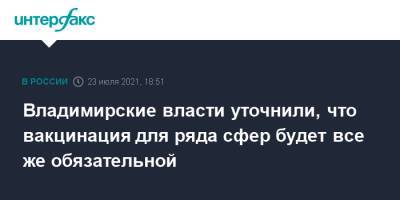 Владимир Сипягин - Владимирские власти уточнили, что вакцинация для ряда сфер будет все же обязательной - interfax.ru - Москва - Владимирская обл.