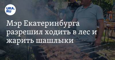 Евгений Куйвашев - Алексей Орлов - Мэр Екатеринбурга разрешил ходить в лес и жарить шашлыки - ura.news - Екатеринбург - Свердловская обл.