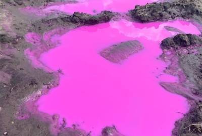 На Ровенщине забили тревогу из-за розовых луж в поле: в ГСЧС утверждают - это химикаты - kp.ua - Украина - район Ровенский - Экология