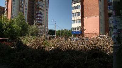 На проспекте Победы после опиловки деревьев бросили сухие ветки - penzainform.ru