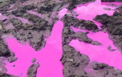 «Опасный химикат»: на Ровенщине установили происхождение розовой жидкости - enovosty.com