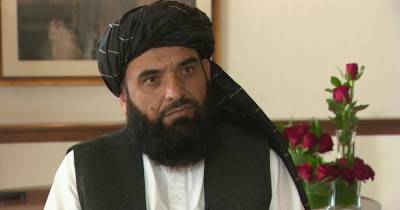 "Нужна смена правительства": талибы озвучили новые условия для перемирия в Афганистане (фото) - focus.ua - Украина - Афганистан - Талибан