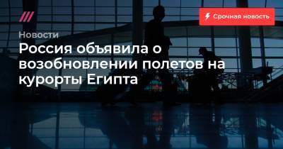Владимир Путин - Россия объявила о возобновлении полетов на курорты Египта - tvrain.ru - Москва - Россия - Египет - Молдавия - Доминиканская Республика - Бахрейн - Манама