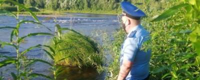 Сергей Воробьев - Правоохранители выяснят, действительно ли обнаруженный в реке Мсте подросток утонул - runews24.ru - Боровичи