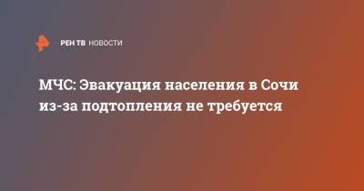 МЧС: Эвакуация населения в Сочи из-за подтопления не требуется - ren.tv - Россия - Сочи - Дагомыс