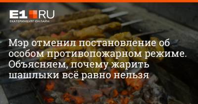 Алексей Орлов - Артем Устюжанин - Мэр отменил постановление об особом противопожарном режиме. Объясняем, почему жарить шашлыки всё равно нельзя - e1.ru - Екатеринбург - Свердловская обл.