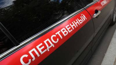 СК возбудил дело после гибели трехлетней девочки в Приамурье - iz.ru - Россия - Израиль - Амурская обл.