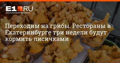 Артем Устюжанин - Переходим на грибы. Рестораны в Екатеринбурге три недели будут кормить лисичками - e1.ru - Екатеринбург