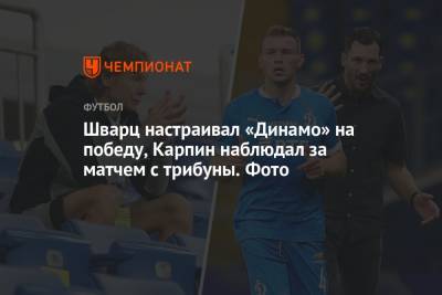 Сандро Шварц - Шварц настраивал «Динамо» на победу, Карпин наблюдал за матчем с трибуны. Фото - championat.com - Москва - Ростов-На-Дону