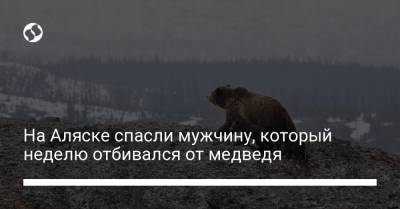 На Аляске спасли мужчину, который неделю отбивался от медведя - liga.net - Украина - шт.Аляска