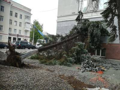 На реконструируемой Советской площади в Уфе на здание рухнула ель - bash.news - Уфа