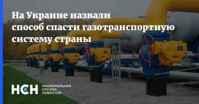 Юрий Камельчук - На Украине назвали способ спасти газотранспортную систему страны - nsn.fm - Украина - Иран - Азербайджан - Катар