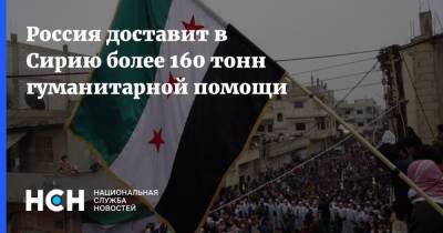 Россия доставит в Сирию более 160 тонн гуманитарной помощи - nsn.fm - Россия - Сирия