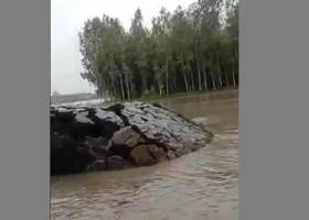 Дарья Билодид - Дарья Билодид сегодня может выиграть олимпийскую медаль - rupor.info - Украина - Токио - Сербия - Португалия
