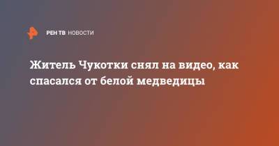 Житель Чукотки снял на видео, как спасался от белой медведицы - ren.tv - Чукотка