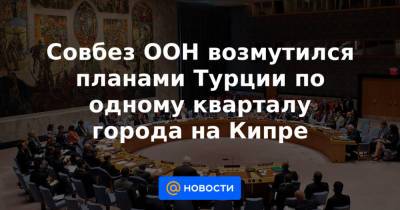 Совбез ООН возмутился планами Турции по одному кварталу города на Кипре - news.mail.ru - Турция - Кипр